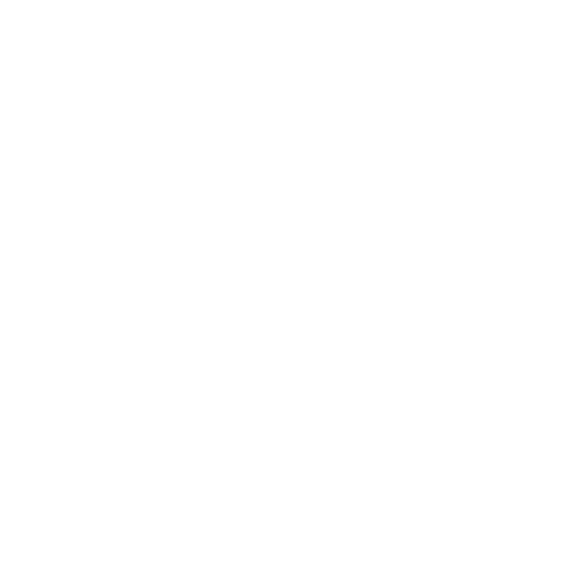 Enquiry Icon